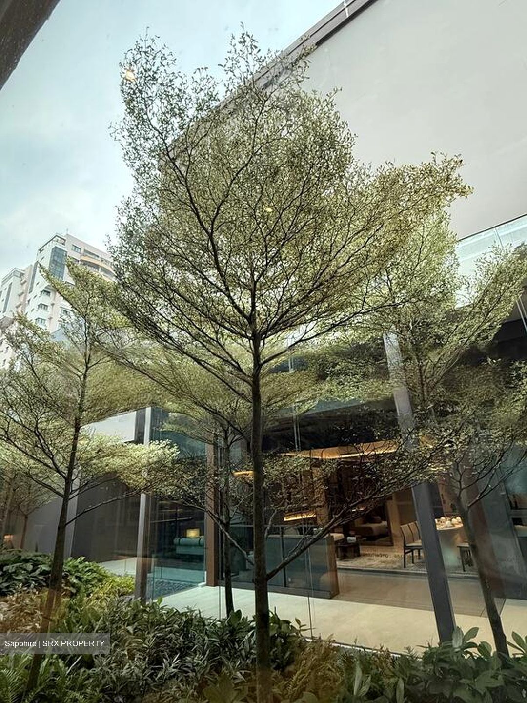 201E TAMPINES STREET 23 (D18), Shop House #491676671